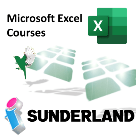Microsoft Excel courses in Sunderland