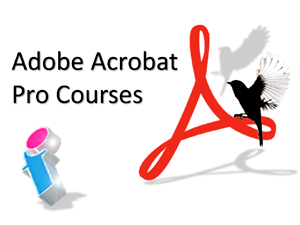 Adobe Acrobat Pro course