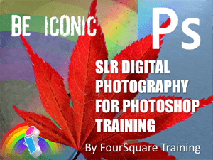 PhotoShop digital photograpy course