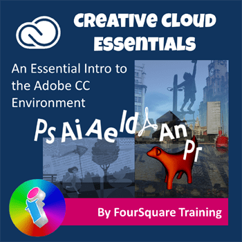 Adobe Creative Cloud Essentials Course