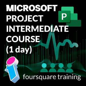 MS Project Intermediate course