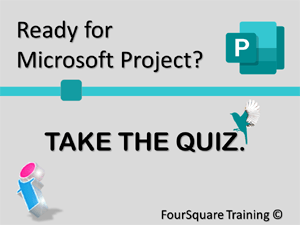 Microsoft Project Procurement Decisions