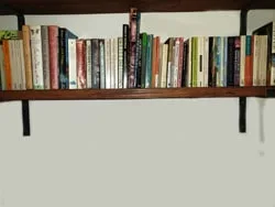 Australian Literature Bookshelf Teams Background