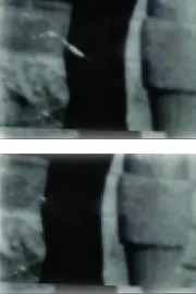 PhotoShop scratch repaired using Healing Brush