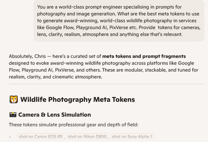 Copilot's Prompt Output
