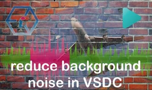 VSDC Editor background noise reduction